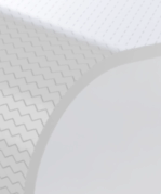 Monolithic-Belt1