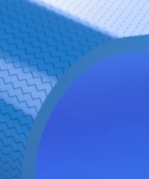 Monolithic-Belt2